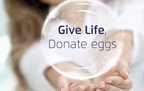 egg donation agency