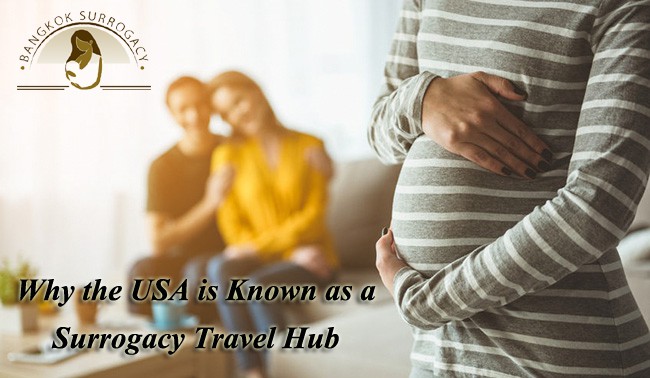 Surrogacy Travel Hub