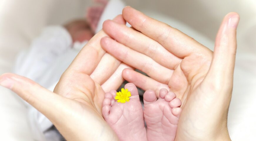 How to Proceed with the Surrogate Mother Search in Australia?