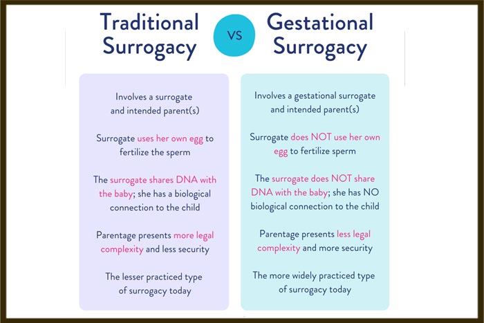 surrogacy cost in Georgia